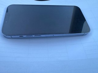 iPhone 13 Pro Max 256 GB