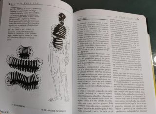 Anatomía emocional la estructura de la experien...