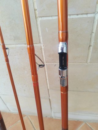 Canne da pesca Daiwa