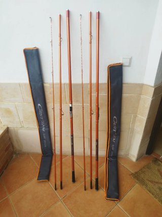 Canne da pesca Daiwa