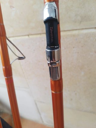 Canne da pesca Daiwa