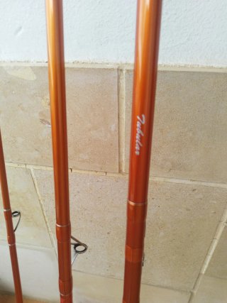 Canne da pesca Daiwa