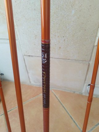 Canne da pesca Daiwa