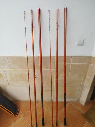 Canne da pesca Daiwa