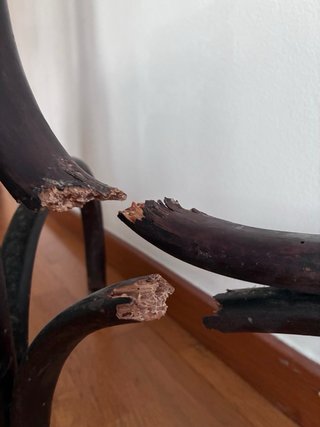 Perchero Madera Thonet para Restaurar