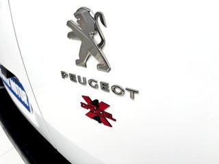 Peugeot Partner 4x4 Dangel Standard 600kgs BlueHDi 96kW
