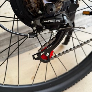 Bici Eléctrica DUOTTS C29 Adulto 29''
