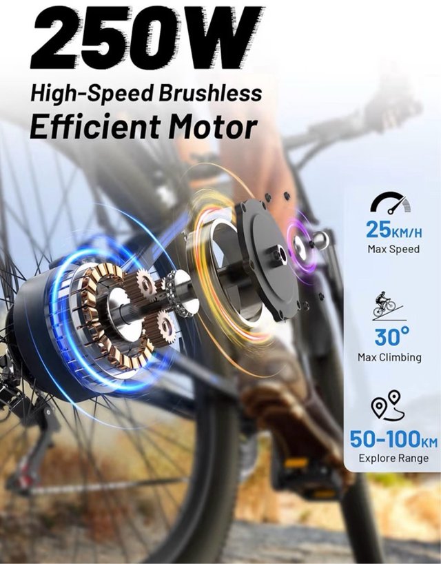 Bici Eléctrica DUOTTS C29 Adulto 29''