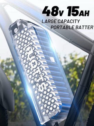Bici Eléctrica DUOTTS C29 Adulto 29''