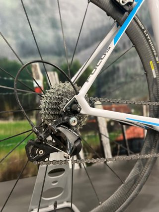 Bicicleta Carretera FOCUS Cayo Talla M Carbono