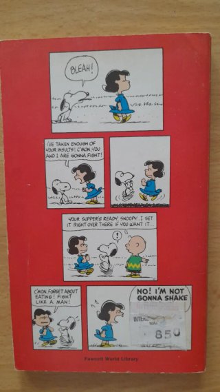 Fumetti Peanuts Charlie Brown Snoopy in inglese