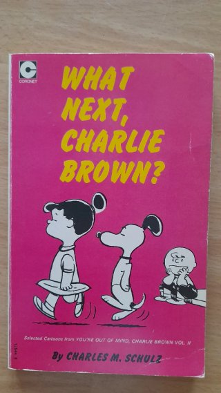 Fumetti Peanuts Charlie Brown Snoopy in inglese