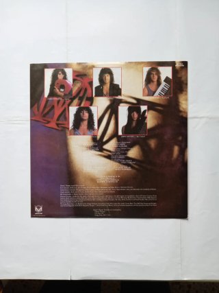 Vinile DREAM THEATER. When Dream and day unite.