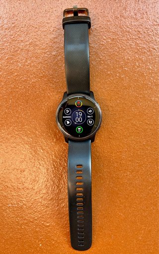 Garmin Venu 2 GPS Smartwatch Negro