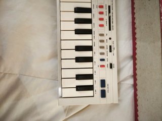 Teclado Casio PT-20