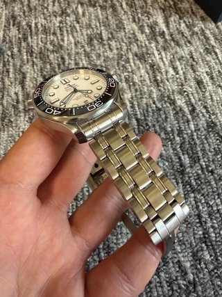Reloj Omega Seamaster Professional