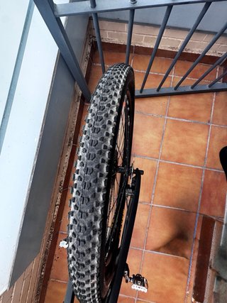 Orbea M30 L Carbono MTB