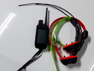Mando Garmin Alpha 200i y 2 collares TT25