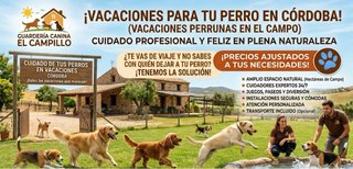 Guardería canina