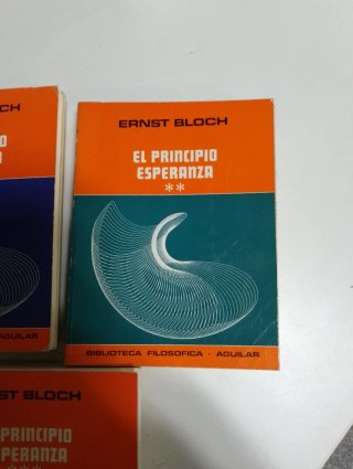 El principio esperanza