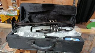 Trompeta Sib Taylor Collins TCTR-09 Negra NUEVA