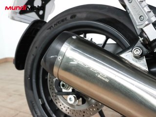 BENELLI LEONCINO 500