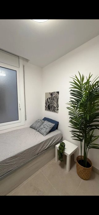 Habitacion terrassa rambla alquiler