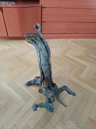 Raíz de madera decorativa