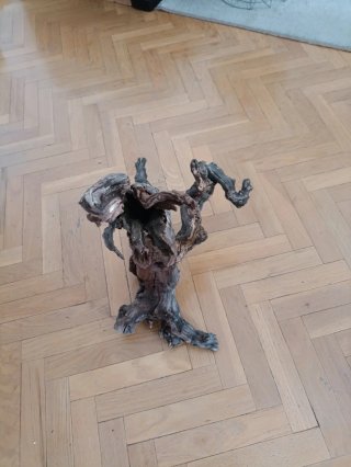 Raíz de madera decorativa