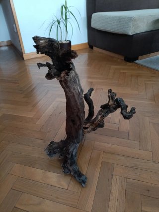 Raíz de madera decorativa