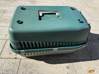 Transportín para mascotas verde