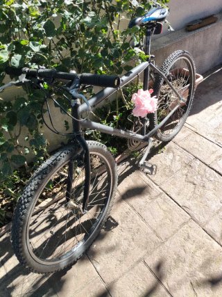 Bicicletas  Ruedas 26   funcionan bien Las 2