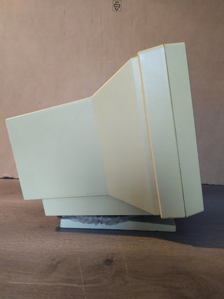 Monitor TAXAN KX-445 MDA monocromo