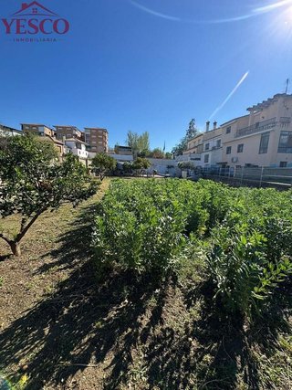Terreno en venta en Pulianas