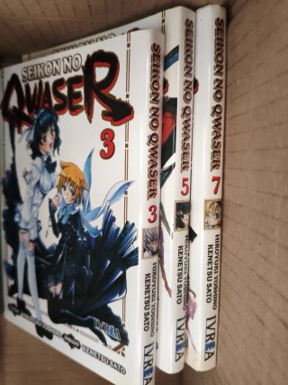 Seikon No Qwaser 3 (Spanish Edition)