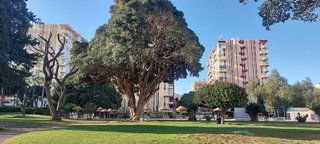 Piso en alquiler en Parque de la Paloma en Benalmádena