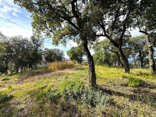 Solar en venta en Mas Mora - Sant Daniel en Tordera