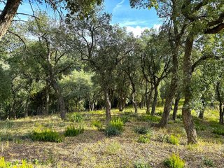 Solar en venta en Mas Mora - Sant Daniel en Tordera