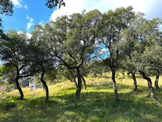 Solar en venta en Mas Mora - Sant Daniel en Tordera