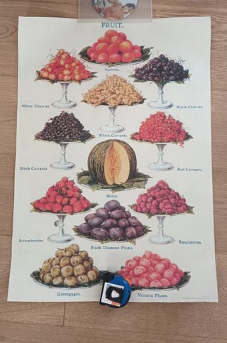 Café de especialidad. Colección de 8 Pósters.