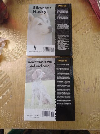 Siberian Husky