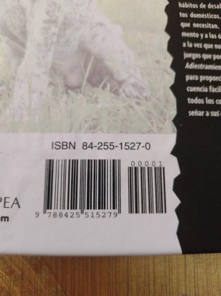 Siberian Husky
