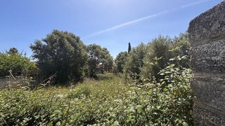 Terreno en venta en Lloseta