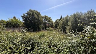 Terreno en venta en Lloseta