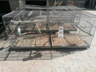 Jaula para pájaros grande