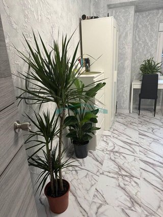 Piso en venta en Los Juzgados en Mislata