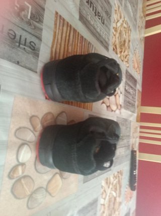 Zapatillas de seguridad Sparco negras y rojas