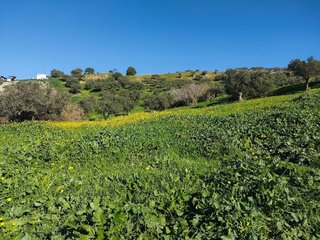 Terreno en venta en Alhaurín el Grande