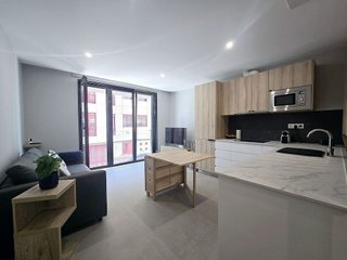 Piso en alquiler en Alcaravaneras en Palmas de Gran Canaria(Las)