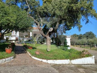 Chalet en venta en Ciudad Monumental en Cáceres
